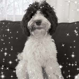 Meet your Posher, Jackie